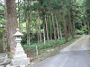 camp24 (445)_samu.gif